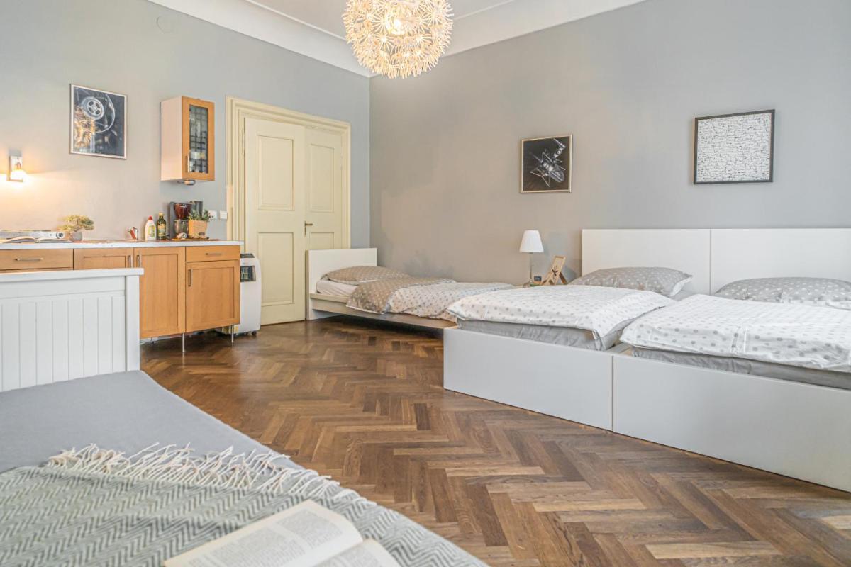Bright Studio Close To Charles Bridge And Prague Castleアパートメント エクステリア 写真